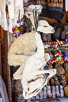 Llama (Lama glama) foetus for sale in the Witches Market in La Paz, Bolivia, South America.