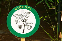 Bio fuel display at the Eden Project in Cornwall, England, UK, April 2007.