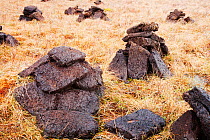 Peat cutting near Broadford, Isle of Skye, Scotland, UK, February 2012.