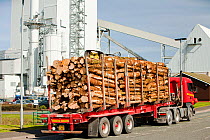 The Steven's Croft biofuel power station in Lockerbie, Scotland, UK, witha delivery of timber entering the site.