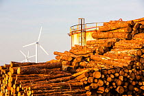 Logs bound for a biofuel power station in Workington next to oil tanks in Workington port, Cumbria, UK, with a wind farm in the background.