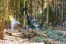 A forwarder, a specialist machine for cutting timber for biofuel  in Grizedale Forest, Lake District, England, UK