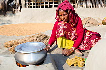 A woman subsistence farmer cooking on a traditional clay oven, using rice stalks as biofuel in the Sunderbans, Ganges Delta, India.  All parts of the rice crop are used, and the villager's life is ver...