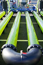 AlgaeLink, an algae growing system used to produce ethanol and biodiesel oil from algae. This is more efficient than from growing traditional plant oil crops as it does not take as much space. Chamoni...