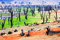 Lake Hume, the largest reservoir in Australia during the drought which lasted from 1996-2011.  In this image the water was at at 19.6% capacity, but at its worse point it was at 2.1% New South Wales,...