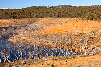 Lake Eucumbene in the Snowy Mountains with very low water level during the drought which lasted from 1996-2011. New South Wales, February 2010.