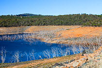 Lake Eucumbene in the Snowy Mountains with very low water level during the drought which lasted from 1996-2011. New South Wales, February 2010.