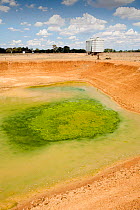 Farmer's watering hole on a farm almost dried up during drought which lasted from 1996-2011. Shepperton, Victoria, Australia.  February 2010.
