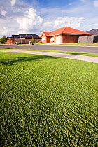 Plastic grass lawn outside new houses in Echuca,  Victoria, These were installed during a drought which lasted from 1996-2011. Australia. February 2010.