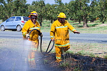 CFA fire fighters tackling a roadside fire near Shepperton, Victoria, Australia, probably started by a motorist throwing a cigarette out of the window. This image was taken during the drought which 15...