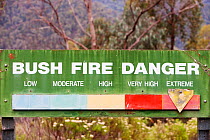 Extreme fire conditions in the Snowy Mountains, New South Wales, Australia. February 2010.