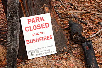 Park Closed sign in the Snowy Mountains,  closed due to bush fires, Australia. February 2010.