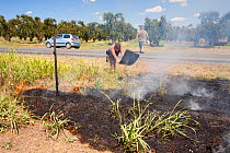 Roadside fire near Shepperton, Victoria, Australia, probably started by a motorist throwing a cigarette out of the window.  This image was taken during the drought which 15 year drought which made bus...