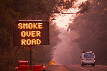 Smoke warning sign by road, at dawn near Orbost, New South Wales, Australia. March 2010.