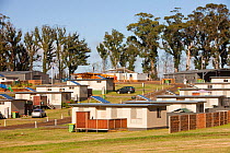 Kinglake,  one of the communities worst affected by the catastrophic 2009 Australian Bush fires in the state of Victoria in which 173 people were killed. Victoria, Australia. February 2010.