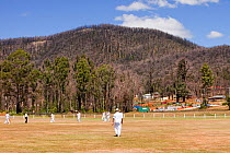 Memorial cricket match between Kinglake and Marysville on anniversary of  catastrophic bush fire in which 173 people were killed. Victoria, Australia, February 2010.