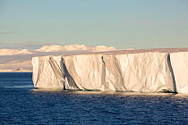 Tabular iceberg off Livingstone Island, Antarctic Peninsula. February 2014.