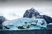 Icebergs off the South Orkney Islands, just off the Antarctic Peninsula.