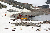 Gentoo penguins (Pygoscelis papua) with members of an expedition cruise ship. Curverville Island, Antarctic Peninsula.