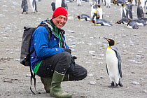 King penguin (Aptenodytes patagonicus) , with passenger from an expedition cruise, Salisbury Plain, South Georgia, Antarctica, February 2014.