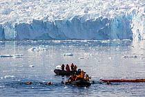 Members of an expedition cruise to Antarctica sea kayaking and swimming in Paradise Bay, beneath Mount Walker, Antarctic Peninsula.