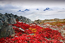 Harding icefield  receeding rapidly due to global warming,Kenai Fjords National Park,  Alaska, USA, September 2004.
