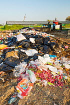 Ashram's bio-gas plant, that is fed with food waste and manure and fuels the kitchens and the Ashram's vehicles. Muni Seva Ashram in Goraj, near Vadodara, India. December 2013.