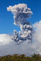 Ash plume from the Cotopaxi Volcano erupting, Cotopaxi National Park, Cotopaxi, Ecuador , August 2015.