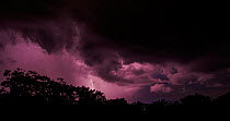 Storm with lighting over the Amazon Rainforest, Cuyabeno, Sucumbios, Ecuador, October 2014.