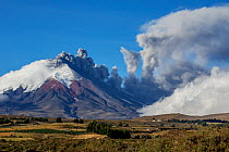 Cotopaxi Volcano with plume of ash from eruption, Cotopaxi National Park, Cotopaxi, Ecuador, August 2015.