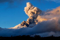 Plume of ash over the erupting Cotopaxi Volcano, Cotopaxi National Park, Cotopaxi, Ecuador, August 2015.