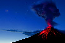 Tungurahua Volcano erupting at dawn, Ecuadorian Eastern Slopes, Tungurahua, Ecuador, February 2014.