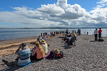 People watching Bottlenose dolphins (Tursiops truncatus) Chanonry Point, Moray Firth, Highlands, Scotland. June 2017
