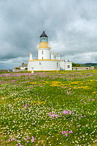 Chanonry Point Lighthouse, Moray Firth, Highlands, Scotland. June 2017