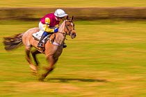 Blurred motion image of horse and jockey galloping during Itton point-to-point horse race, Monmouthshire, Wales, UK.