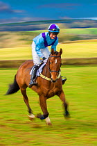 Blurred motion image of horse and jockey galloping during Itton point-to-point horse race, Monmouthshire, Wales, UK.