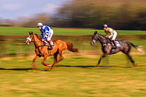 Blurred motion image of two horses with jockey galloping during Itton point-to-point horse race, Monmouthshire, Wales, UK.
