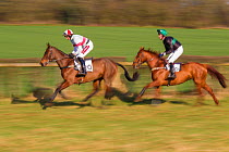 Blurred motion image of two horses with jockey galloping during Itton point-to-point horse race, Monmouthshire, Wales, UK.