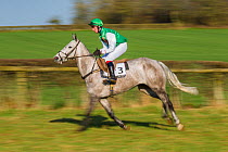 Blurred motion image of horse and jockey during Itton point-to-point horse race, Monmouthshire, Wales, UK.