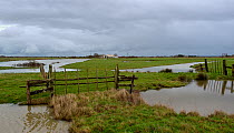 Landscape of Breton Marsh, Vendee, France, January.