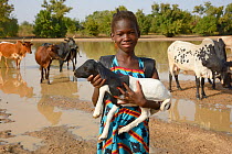 Young girl holding baby goat, with cattle behind, Burkina Faso. December 2017.