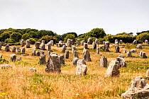 People walking among Carnac megaliths, Lorient, Brittany, France, June 2015.