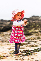 Girl, aged 12 months, playing with seaweed on Langland Beach, Gower, Wales, UK. Model released. April.