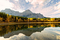 Wedge Pond, in surrounded by autumn trees,  Alberta, Canada. September.