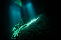 Under water in the Abismo Anhumas or Anhumas Abyss. This is a 80 metre deep lake, at the bottom of a 72 metre deep cave. Bonito area, Serra da Bodoquena (Bodoquena Mountain Range), Mato Grosso do Sul...