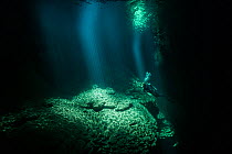 Under water in the Abismo Anhumas or Anhumas Abyss. This is a 80 metre deep lake, at the bottom of a 72 metre deep cave. Bonito area, Serra da Bodoquena (Bodoquena Mountain Range), Mato Grosso do Sul...