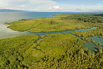 Aerial view of Mangrove forest, Osa Peninsula, Costa Rica, May 2017.