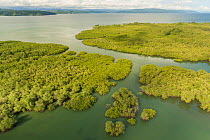 Aerial view of Mangrove forest, Osa Peninsula, Costa Rica, May 2017.