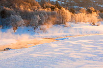 Steam rising from stream on frosty winter morning in the Abruzzo National Park. Central Apennines, February 2012.