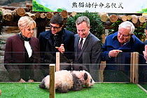 Naming ceremony of the 4-month-old panda cub at Beauval Zoo, St-Aignan, France. December 4, 2017. From left to right: Brigitte Macron, wife of the French president, Rodolphe Delord, CEO of Beauval Zoo...